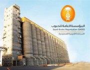“الحبوب”: صرف مستحقات الدفعة الثانية لمزارعي القمح المحلي