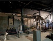 اكتشاف بقايا أكبر ديناصور آكل للحوم في أوروبا