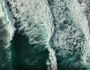 “الحياة الفطرية” تكشف المهددات التي تواجه البيئة البحرية (فيديو)