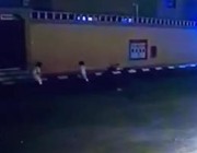 فيديو.. نجاة طفلين تعرضا لهجوم كلب مفترس أمام منزلهما بالقريات