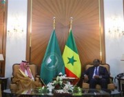 وزير الخارجية يبحث مع الرئيس السنغالي العلاقات الثنائية وسبل تعزيزها في مختلف المجالات