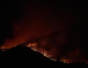 حرائق الغابات تلتهم أكثر من 20 ألف هكتار من الأراضي الإسبانية (فيديو وصور)