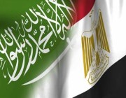 العلاقات السعودية – المصرية.. تاريخ من التضامن والتنسيق المشترك
