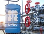 الإمارات تؤكد اقتراب إنتاجها النفطي من الحد الأقصى لاتفاقية “أوبك بلس”