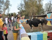 الصغار تستهويهم تجربة حلب الأبقار واللعب مع الكلاب في جدة جنغل