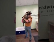 رد فعل كلبة التقت بصاحبها بعد 7 أشهر في كندا