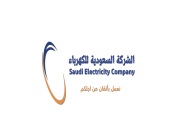 لتجنب المخاطر.. «السعودية للكهرباء» تطلق خدمة جديدة