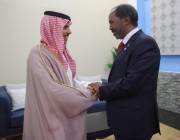 وزير الخارجية يحضر مراسم تنصيب رئيس جمهورية الصومال الفيدرالية