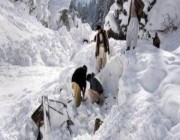 مقـتل 6 على الأقل في انهيار جليدي في جبال الألب الإيطالية