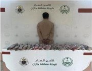 ضبط 37 كيلوجرامًا من الحشيش المخدر بحوزة مقيم أفغاني في العيدابي