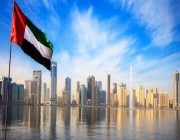الإمارات تعلن تقديم حوافز جديدة لاجتذاب 300 شركة رقمية
