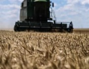 روسيا وأوكرانيا توقعان على اتفاق حول تصدير الحبوب