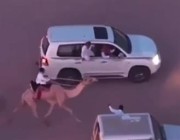 مواطن ينقذ طفلاً علق بأحد الجِمَال الهائجة خلال سباق الهجن ومواطنون يكرمونه (فيديو)