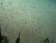 ثقوب غامضة وغريبة في قاع المحيط الأطلسي تثير حيرة العلماء