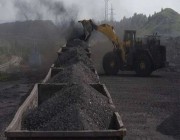 ألمانيا: سنوقف شراء الفحم الروسي في أغسطس والنفط في ديسمبر