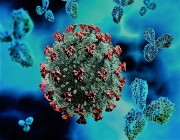كوريا الجنوبية تسجل أكثر من 180 ألف إصابة بفيروس كورونا