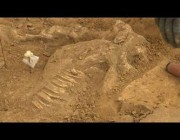 اكتشاف عظام تعود لجنود قـتلوا في معركة “واترلو” ضد نابليون قبل 207 أعوام