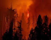 حريق غابات ضخم يتمدد في كاليفورنيا