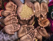 دعوات أممية إلى اتخاذ إجراءات عاجلة لمعالجة أزمة الأمن الغذائي العالمية
