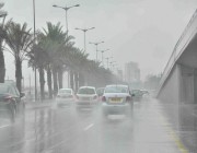 رياح نشطة وأتربة مثارة وأمطار رعدية على منطقة جازان