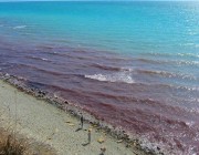 سر تحول مياه البحر من الأسود إلى الأحمر قبالة شواطئ روسيا