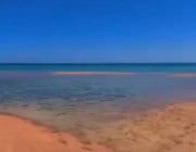 شاهد.. أول مواطن يلتقط فيديو أثناء زيارته لجزيرة تيران السعودية: «لون البحر خيال»