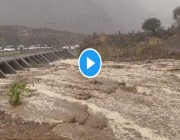 شاهد.. هطول أمطار غزيرة وجريان الأودية في محافظة الريث شرق جازان