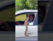شخص يقود مركبته مع “ثعبان” في شيكاغو