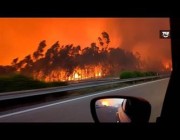 شخص يوثق لحظة عبوره بسيارته وسط ألسنة النيران الملتهبة في غابات البرتغال