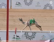 “عزاوي” الأسرع توقيتاً بـ أولى سباقات مهرجان ولي العهد 2022