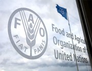 “فاو”: تراجع مؤشر الأسعار العالمية للسلع الغذائية ووفرة في المحاصيل