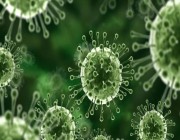 “فيروس ماربورغ”.. أعراضه وطرق انتقاله والوقاية منه