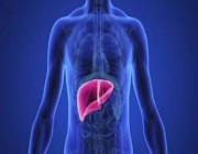 ما الفرق بين تليف الكبد وتشمع الكبد؟