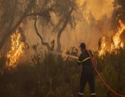 ارتفاع حصيلة ضحايا الحرائق في الجزائر الى 43 قتيل