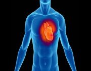 استشاري يكشف عن العوامل المسببة لحدوث جلطات القلب