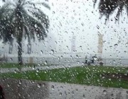 “الأرصاد”: بارق وضمد تسجلان أعلى كمية هطول للأمطار خلال 24 ساعة