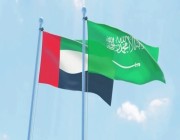 الإمارات تؤكد تضامنها الكامل مع المملكة وتشيد بيقظة أجهزتها الأمنية