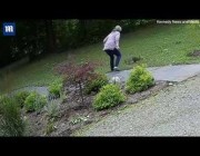 ثعلب مسعور يهاجم امرأة بوحشية في حديقة منزلها بنيويورك