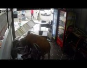ثور هائج يعيث فساداً في شوارع ليما ويدمر المحلات التجارية