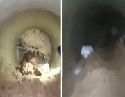 شاهد .. سقوط شاب مصري في حفرة عمقها 15 متراً أثناء بحثه عن الآثار