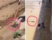 شاهد: لحظة مرور ثعبان ضخم بجوار طفلتين تلهوان في مياه السيول