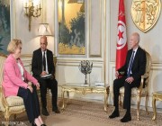 قيس سعيد مستاء من تصريحات مسؤولين أميركيين بشأن تونس