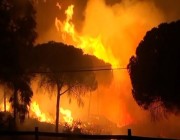 مجددا.. الحرائق تجتاح إسبانيا وإجلاء 1500 شخص من منازلهم
