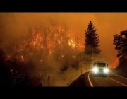 مشاهد مؤثرة لاشتعال النيران في أشجار غابة وطنية بكاليفورنيا