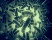 مضاد حيوي جديد يقتل أصعب أنواع البكتريا الناقلة للعدوى .. إليك التفاصيل