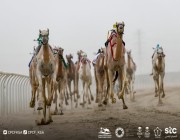 “معزّة” الأسرع في افتتاح أول سباقات اللقايا بمهرجان ولي العهد للهجن 2022