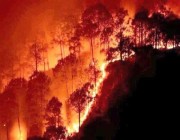 12 ألف حريق في 4 أيام.. الأمازون تتعرض لحرائق مستعرة غير مسبوقة