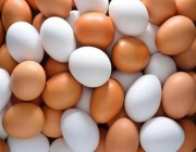 “الغذاء والدواء”: لا يوجد اختلاف في القيمة الغذائية بين البيض الأبيض والبني