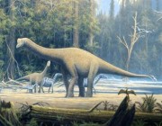يصل طوله إلى 82 قدماً.. برتغالي يكتشف حفرية ديناصور في فناء المنزل (صور)