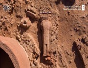 “هيئة العلا” تعلن اكتشاف تمثال لحياني ضخم (فيديو)